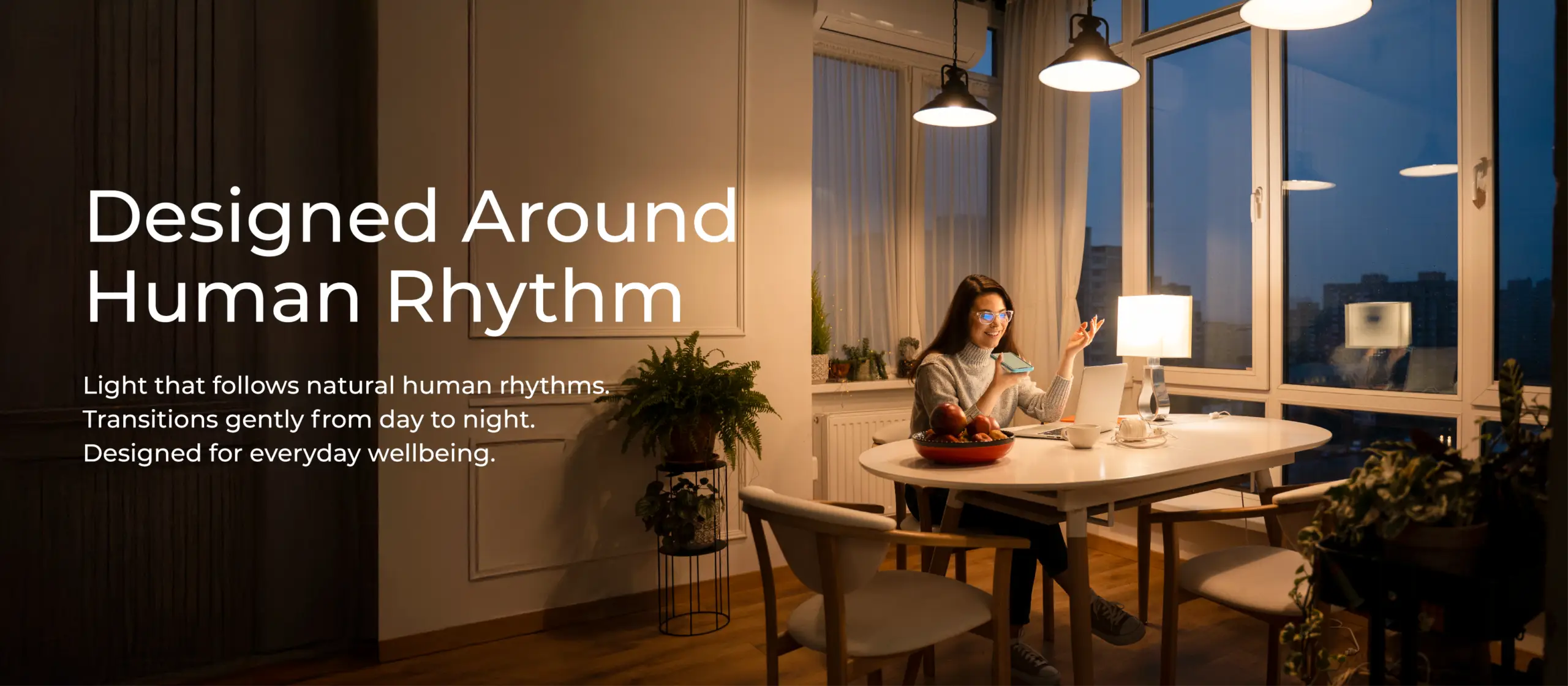 Plexilent Banners_07022026-13